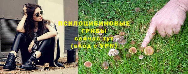 дурь Алексин