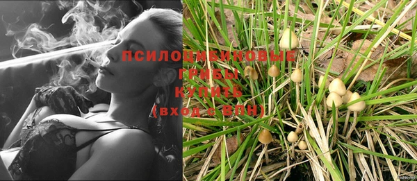 дурь Алексин