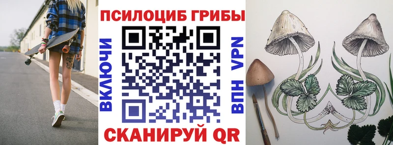 Купить закладки  Белогорск  Псилоцибиновые грибы GOLDEN TEACHER 